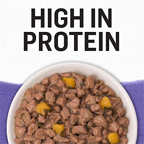 Purina Beyond Grain Free Gravy Wet Cat Food, Grain Free Turkey Recipe - (12) 3 oz. Cans