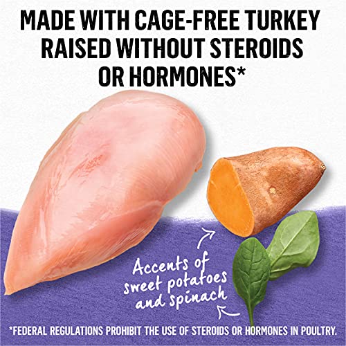 Purina Beyond Grain Free Gravy Wet Cat Food, Grain Free Turkey Recipe - (12) 3 oz. Cans