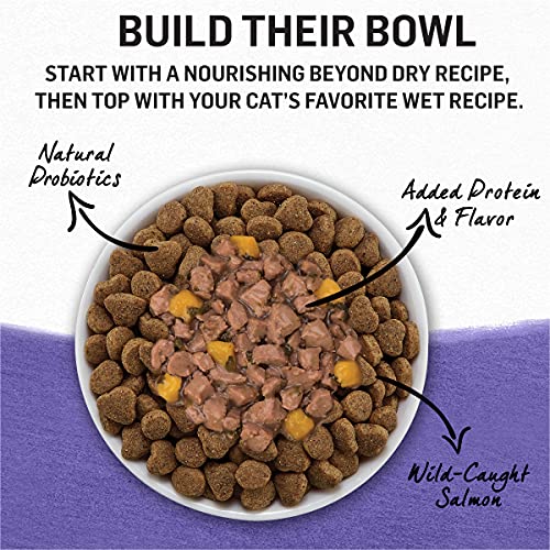 Purina Beyond Grain Free Gravy Wet Cat Food, Grain Free Turkey Recipe - (12) 3 oz. Cans