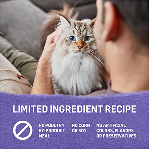Purina Beyond Grain Free Gravy Wet Cat Food, Grain Free Turkey Recipe - (12) 3 oz. Cans