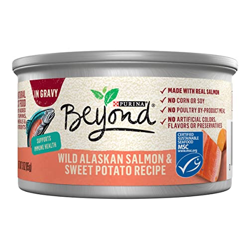 Purina Beyond Grain Free, Natural Gravy Wet Cat Food, Grain Free Salmon & Sweet Potato Recipe - (12) 3 oz. Cans