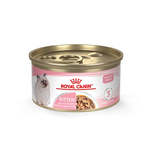 Royal Canin Feline Health Nutrition Kitten Thin Slices In Gravy Canned Cat Food, 3 oz Can (Pack of 24)