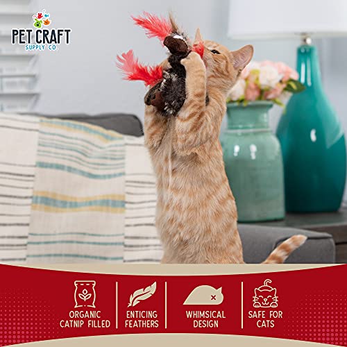 Pet Craft Supply Co. Funky Pheasant Crazy Catnip Cuddler Funny Cuddling Chasing Hunting Irresistible Stimulating Soft Plush Boredom Relief Interactive Cat Toy with Realistic Feathers