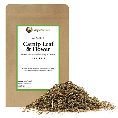 MagJo Naturals Farm Direct Catnip | Freshest Available | Bulk Bag (Full Pound)