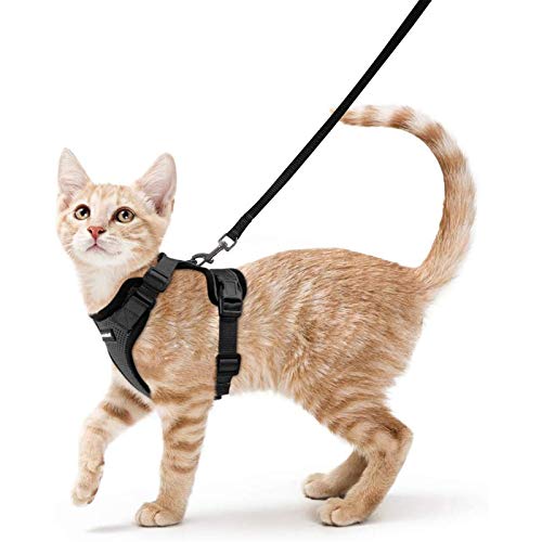 rabbitgoo Cat Harness and Leash for Walking, Escape Proof Soft Adjustable Vest Harnesses for Cats, Easy Control Breathable Reflective Strips Jacket, Black, XS (Chest: Chest: 13.5"-16")