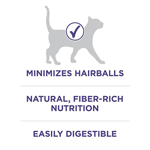 Purina ONE Hairball, Natural Dry Cat Food, Hairball Formula - 22 lb. Bag