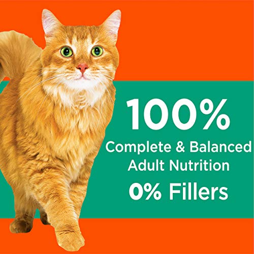 IAMS PROACTIVE HEALTH Adult Hairball Care Protein-Rich Hairball Control Dry Cat Food with Chicken and Salmon, 7 lb. Bag