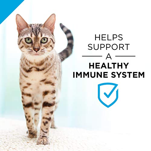 Purina Pro Plan Weight Control Pate Wet Cat Food, FOCUS Weight Management Turkey & Rice Entree - (24) 3 oz. Pull-Top Cans