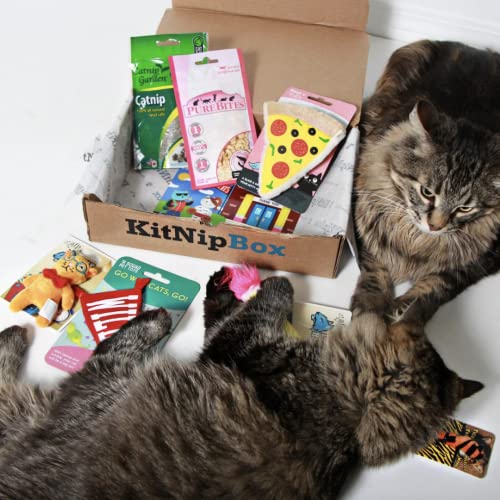 KitNipBox - Monthly Cat Subscription Box of Cat Toys, Treats and Goodies: Multi-Cat
