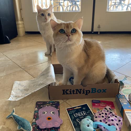 KitNipBox - Monthly Cat Subscription Box of Cat Toys, Treats and Goodies: Multi-Cat