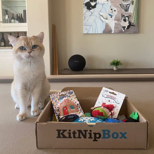 KitNipBox - Monthly Cat Subscription Box of Cat Toys, Treats and Goodies: Happy Cat