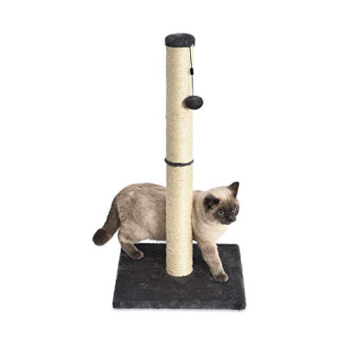 AmazonBasics Medium Cat Scratching Post - 16 x 16 x 32 Inches, Gray