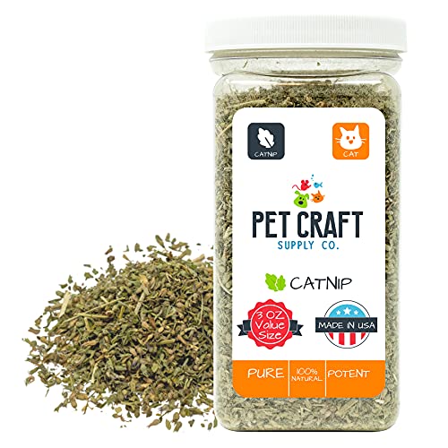 Pet Craft Supply Premium Maximum Potent All Natural Catnip for Cats USA Grown & Harvested Large 3Oz Resealable Canister Great for Training Redirecting Bad Behaviors