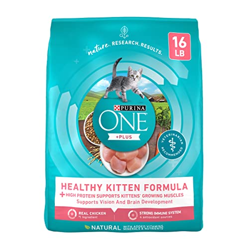Purina ONE Natural Dry Kitten Food, Healthy Kitten - 16 lb. Bag