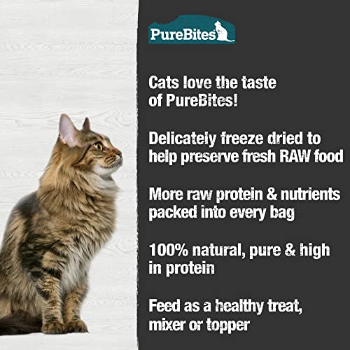 Purebites Minnow Freeze Dried Cat Treats, 1.09Oz | 31G - Value Size
