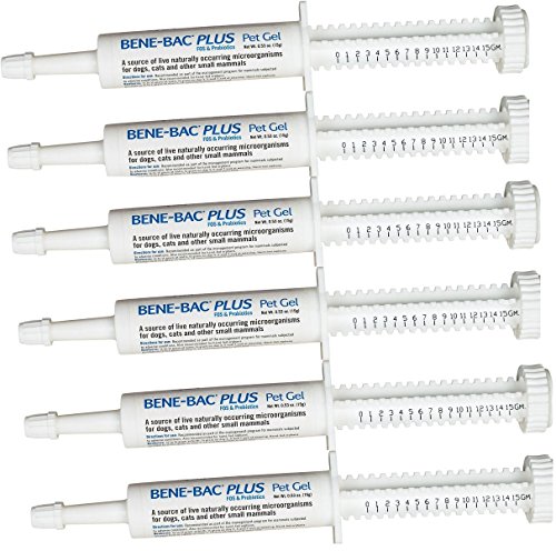 6 Pack Bene-Bac Plus Gel, 15g Syringe 6 -Pack
