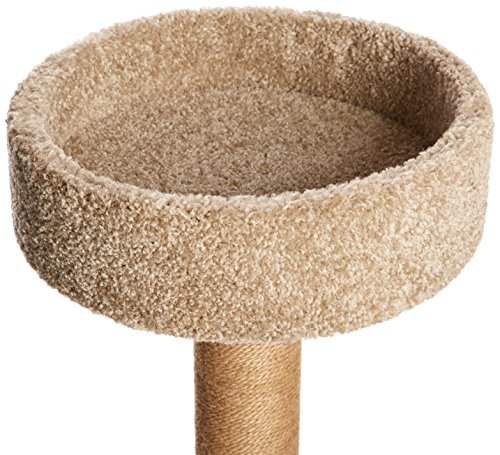 AmazonBasics Medium Cat Condo Activity Tree Tower with Scratching Post Toy - 16 x 16 x 31 Inches