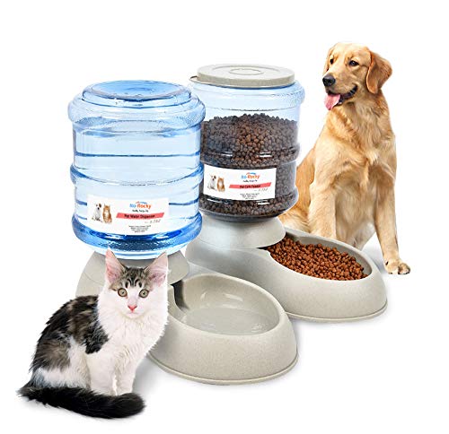 Ito Rocky Pet Feeding Solution Automatic Cat & Dog Cafe Feeder and Water Dispenser in Set with Food Scoop 6-Meal Automatic Food Dispenser for Small/Middle Puppy and Kitten