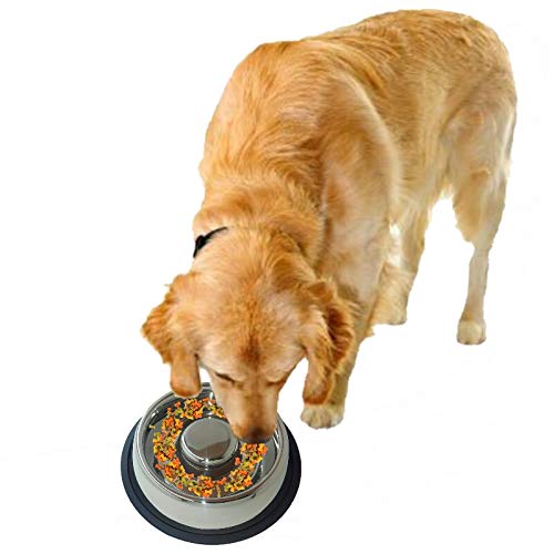 Mr. Peanut's Stainless Steel Interactive Slow Feed Dog Bowl with a Blue Base, Fun Healthy Bloat Stop Feeder (Large)