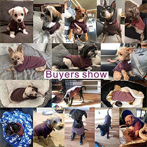 Fashion Focus On Pet Dog Clothes Knitwear Dog Sweater Soft Thickening Warm Pup Dogs Shirt Winter Puppy Sweater for Dogs (Brown, XXS)