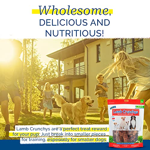 Pet Center, Inc. PCI Lamb Crunchys Raw Dehydrated Lamb Lungs Dog Treats, 8 Ounce Pack