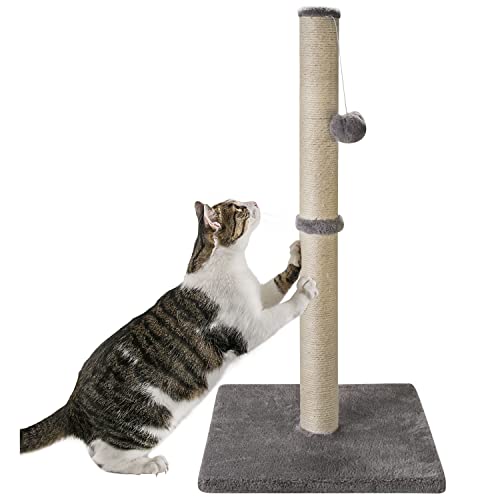 Qucey 32 Inches Tall Cat Scratching Post, Claw Scratcher with Sisal Rope Include a Cat Interactive Plush Ball Toy