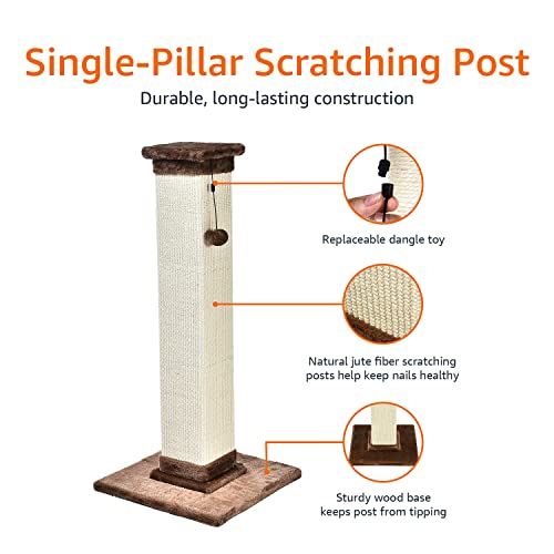 AmazonBasics Large Premium Tall Cat Scratching Post - 16 x 35 x 16 Inches, Brown Carpet