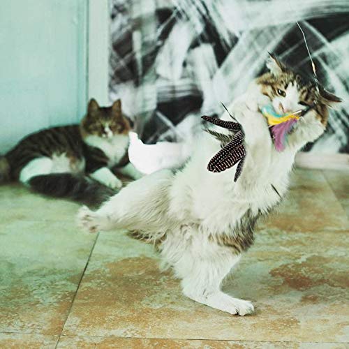 Highland Farms Select Handmade Natural Feather Cat Toy Da Bird Refills - Interactive Cat and Kitten Toy - 6 Pack