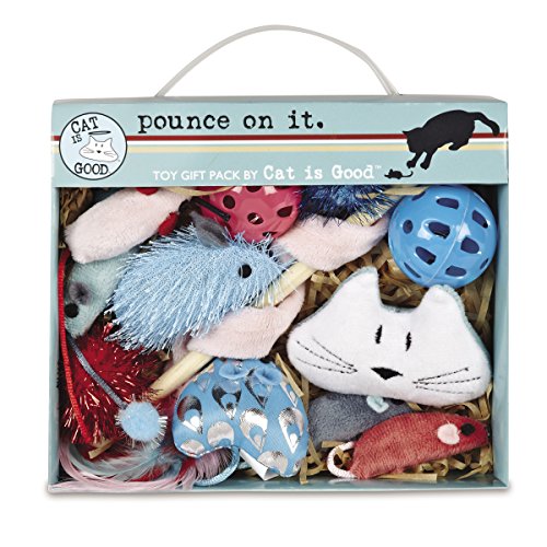 Cat Is Good 12-Piece Pounce Toy Gift Box  Pounce on It Assorted Toys Keep Cats and Kittens Entertained Safely
