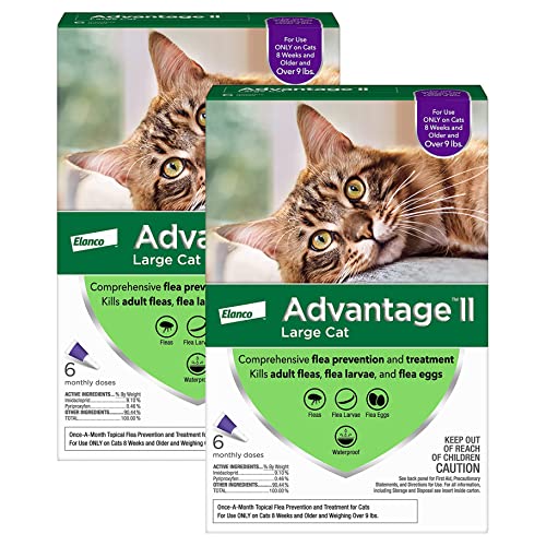 Bayer Animal Health 12 Month Advantage II Flea Control Large Cat (for Cats Over 9 lbs.)
