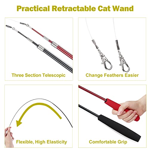 MeoHui 11PCS Retractable Cat Feather Toy Set, Interactive Cat Toys Wand with 2 Poles & 9 Attachments Worm Bird Feathers, Cat Feather Teaser Wand Toy for Kitten Cat Having Fun Exercise Playing