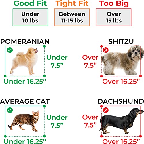 Smiling Paws Pets 4-Way Expandable Airline Approved Soft Sided Pet Carrier, Pet Travel TSA Carrier Bag for Cats, Puppies & Animals, Collapsible Kennel, Airplane, Car & Train Travel, 17x11x9 L/W/H (XS)