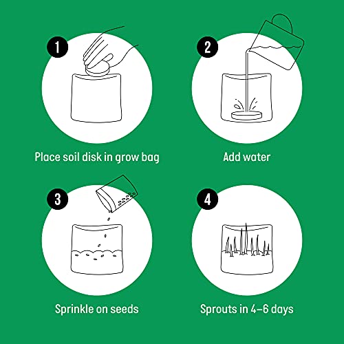 Compostable Cat Grass Grow Bag Kit, 3 Pack, All Organic, Just add Water. Made in The USA