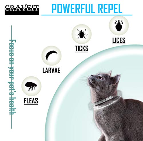 Flea and Tick Collar for Cat, Repels Fleas & Ticks, Natural Essential Oils, Allergy Prevention, 8 Months Protection, Adjustable & Waterproof (2 Packs)