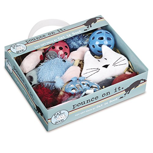 Cat Is Good 12-Piece Pounce Toy Gift Box  Pounce on It Assorted Toys Keep Cats and Kittens Entertained Safely