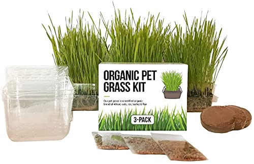 Cat Grass Growing Kit - 3 Pack Organic Seed, Soil and BPA Free containers (Non GMO). All of Our Seed is Locally sourced for pet and pet Lovers.