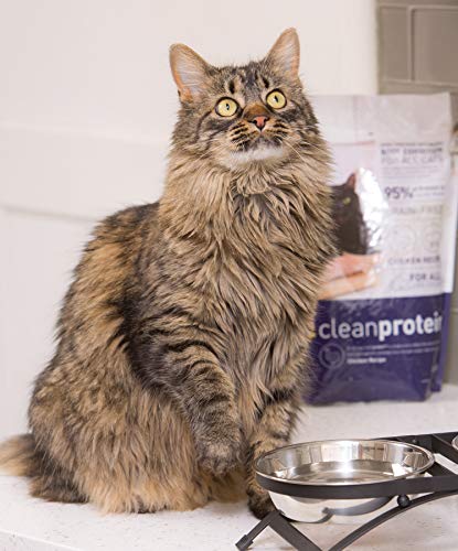 Dr. Elsey's Cleanprotein Grain Free High Protein, Low Carb Dry Cat Food, Chicken