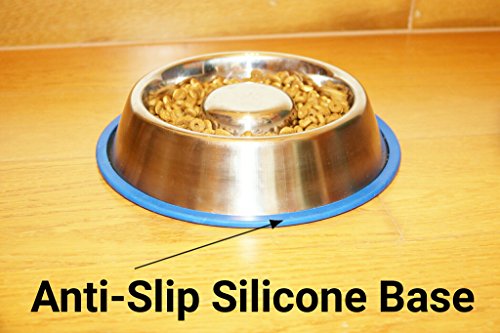 Mr. Peanut's Stainless Steel Interactive Slow Feed Dog Bowl with a Blue Base, Fun Healthy Bloat Stop Feeder (Large)