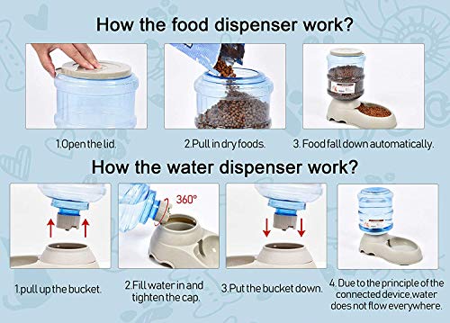 Ito Rocky Pet Feeding Solution Automatic Cat & Dog Cafe Feeder and Water Dispenser in Set with Food Scoop 6-Meal Automatic Food Dispenser for Small/Middle Puppy and Kitten