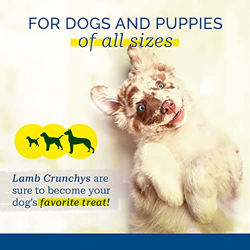 Pet Center, Inc. PCI Lamb Crunchys Raw Dehydrated Lamb Lungs Dog Treats, 8 Ounce Pack