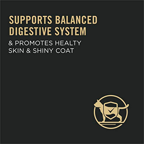 Purina Pro Plan FOCUS Sensitive Skin & Stomach Adult Dry Cat Food