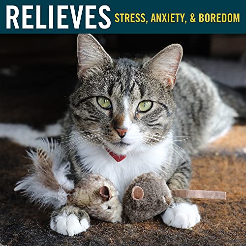 OurPets Play-N-Squeak Twice the Mice Cat Toy, 2pc (Interactive Cat Toy, Catnip Toy, Catnip Toys for Cats, Real Mouse Electronic Sound, Catnip, Cat Toys)