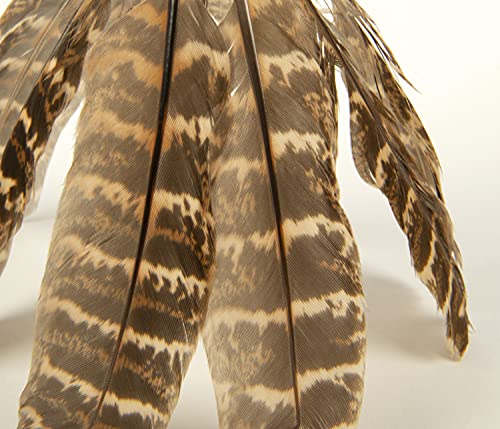 SmartyKat Toss-a-Fox Feathered Cat Toy