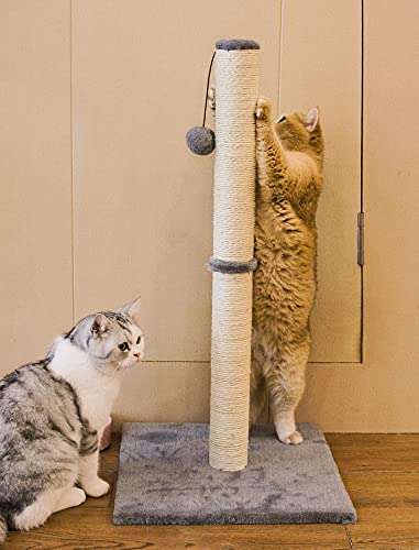 Qucey 32 Inches Tall Cat Scratching Post, Claw Scratcher with Sisal Rope Include a Cat Interactive Plush Ball Toy