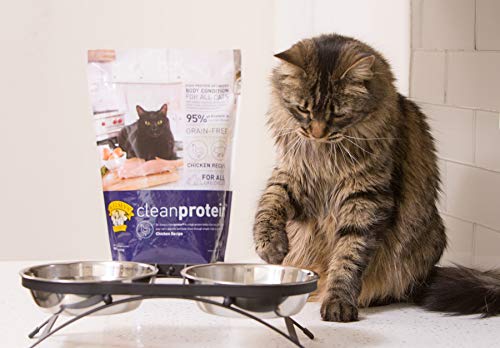 Dr. Elsey's Cleanprotein Grain Free High Protein, Low Carb Dry Cat Food, Chicken