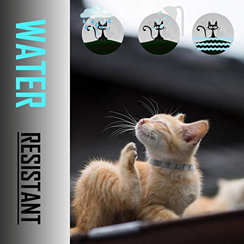 Flea and Tick Collar for Cat, Repels Fleas & Ticks, Natural Essential Oils, Allergy Prevention, 8 Months Protection, Adjustable & Waterproof (2 Packs)