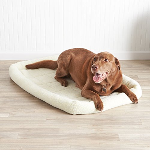 Amazon Basics Padded Pet Bolster Bed, 40 x 26 inches