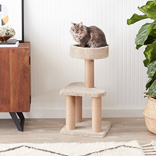 AmazonBasics Medium Cat Condo Activity Tree Tower with Scratching Post Toy - 16 x 16 x 31 Inches
