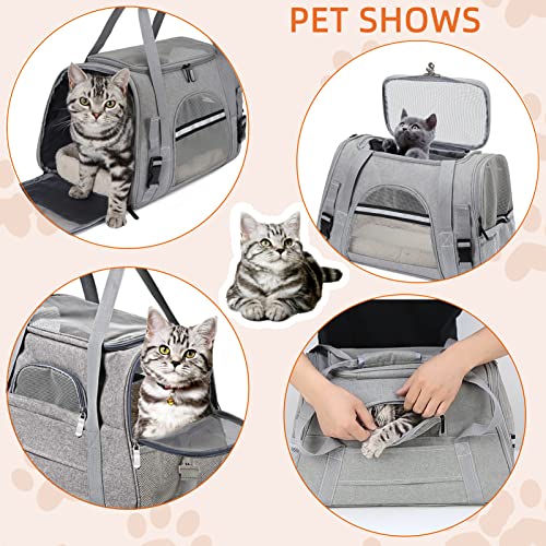 Airline Approved Pet Carrier Bag: Dogs & Cats