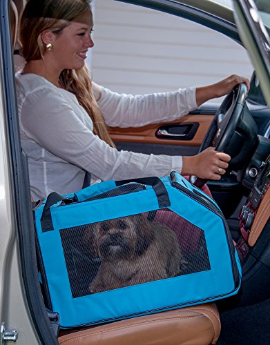 Pet Gear Signature Pet Car Seat & Carrier for Cats and Dogs up to 20-pounds, Aqua